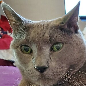 Fundraising Page: Belle White